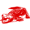 Crocodile Animal
