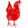 Huhn Chicken