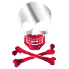 Poland Flag