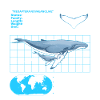 Humpback Whale Datasheet