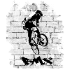 Vélo BMX