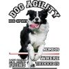 dog agility - Sport cinofili