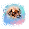 rhodesianridgeback, dog,dog ,graffiti,pink