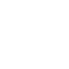 snowflake wings