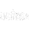 Amsterdam Skyline