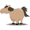 Thick pony