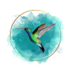 Kolibri