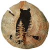 Tree Disc Owl