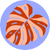 Funky Monstera