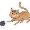 Cat with wool