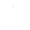 Bear Geometric Line