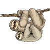 Kunterli Loves Sloths - #KUN-SLO-08 - Cute