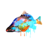 karpfen,bunt,graffiti,malerei,fisch