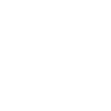 21 Number crown