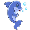 dolphin