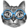 Cat wearing blue eyeglasses