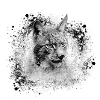 luchs,katze,blau,malerei,aquarell,grau