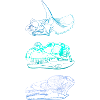 Dinosaur Skulls