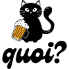 Chat buveur de bière : quoi ?