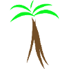 Palm tree