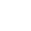 Levi