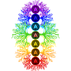 Chakra Energie