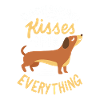 Dachshund Kisses Everything Dackel Dachshund