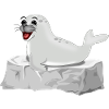 Laughing seal on rock