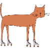 Chat sur roller quad