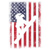 us flag patriotic snowboarding snowboard