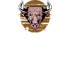 Ein Stier