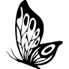 schmetterling