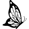 schmetterling