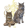 Lynx