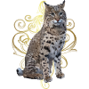 Lynx