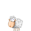 Pourquoi tant de laine? humour