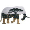 Elephant Savannah Silhouette