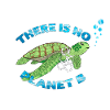No planet B turtle