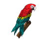 Parrot