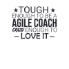 « Coach Agile Crazy | Agile »