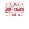 « Coach Agile Crazy | Agile »