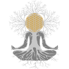 Fleur de vie