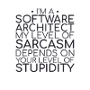 "Software Architect Sarcasm |Software Architektur"