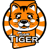TeamTigre S