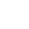 Monk Description