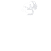 Cuisine Cuisine Chef Chef