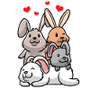 Rabbit Love Lover Carnickel Owner
