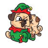 Eleven pugs cuddle Christmas dress
