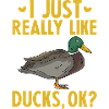 J’aime vraiment les canards OK