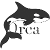 Orca Dream – Épaulard majestueux